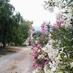 B&B Rocca Di